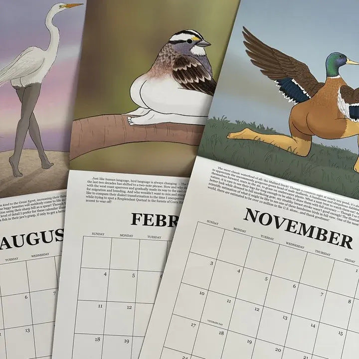 2024 Extremely Accurate Birds Calendar - Decorative Wall Monthly Calendar