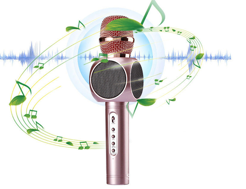 Song microphone