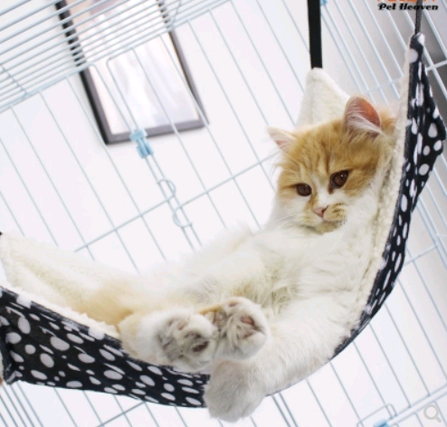 Cat cage with hammock hanging cat bed four seasons cat mat
