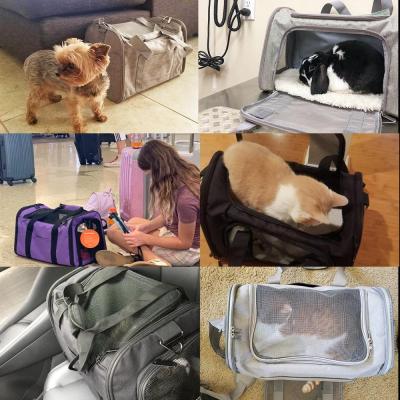 Portable Cat And Dog Pet Bag