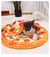Cat Dog Bed Funny Mat and Blanket Cute Cozy Sleeping Beds Warm Durable Pet Cushion