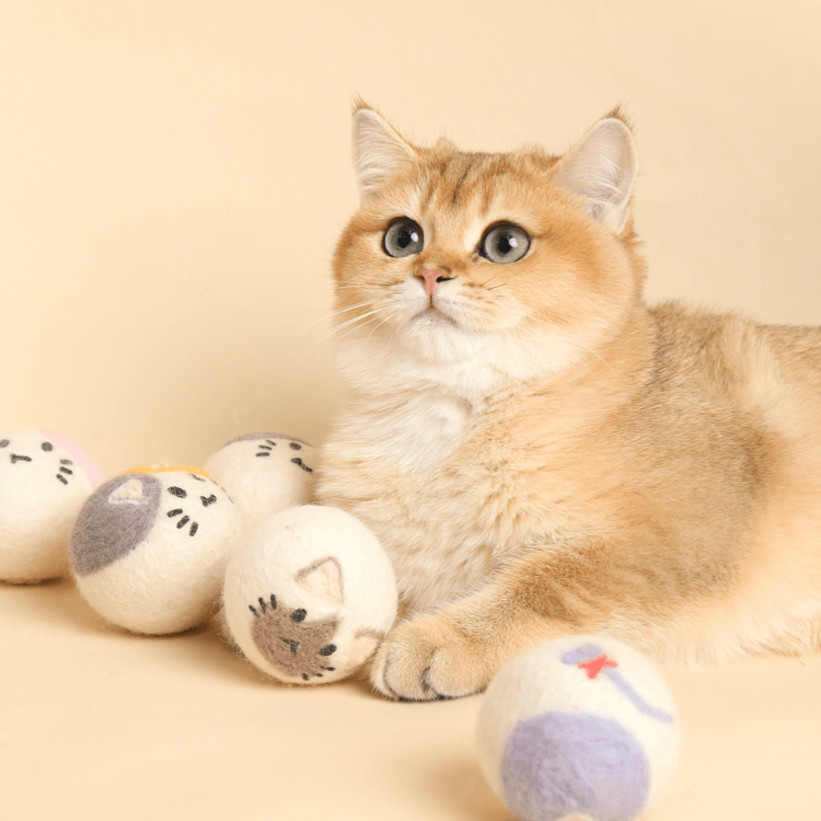Pet Tease Cat Ball Self-indulgence Interactive Toy