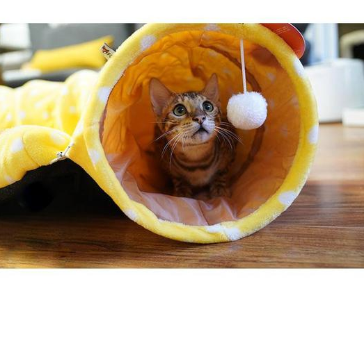 Rolling dragon cat litter cat tunnel cat sleeping bag rest toy pet cat litter pad