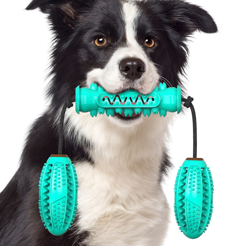 Dog Chew Toys Pet Toothbrush Rubber Bones Teeth Cleaning - Minihomy