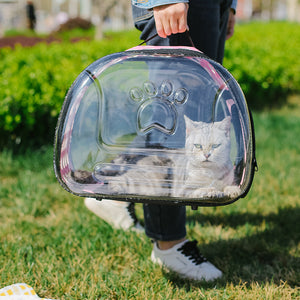 Portable Pet Cat Full Transparent School Bag