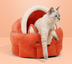 Funny Fox Shape Pet Cat Bed House Cozy Dog Cat Mat Bed Warm Durable Portable Pet Basket Kennel Dog Cushion Cat Supplies - Minihomy